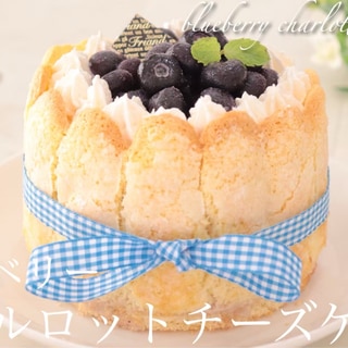 シャルロットブルーベリーチーズケーキ